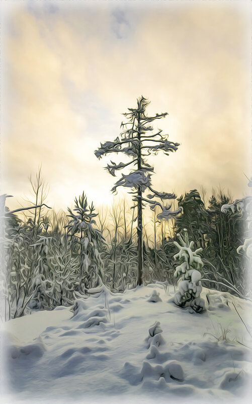 В лесу родилась ёлочка, была она сосна ... - Андрей Бобин