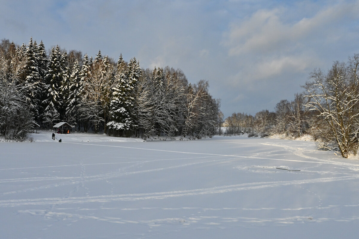Подмосковье сегодня - Вадим 