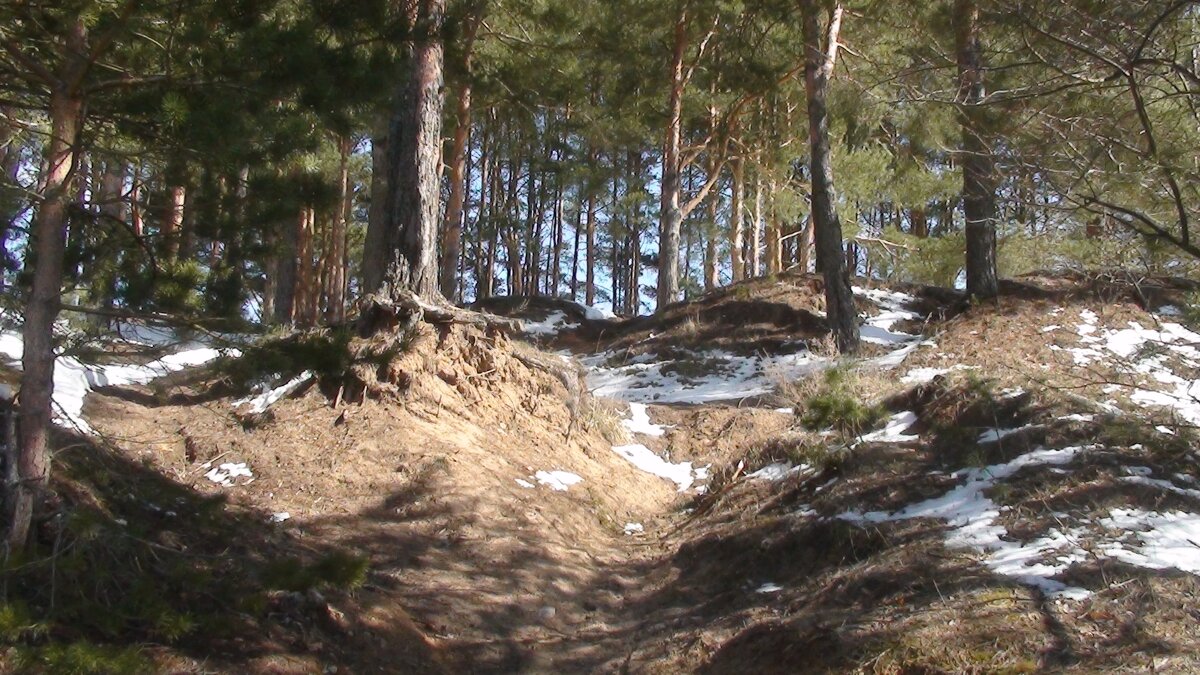 Дунькина Гора - fogmeadowww m