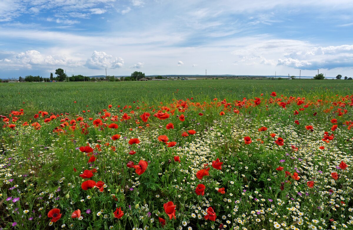 весна - Igor бирюков