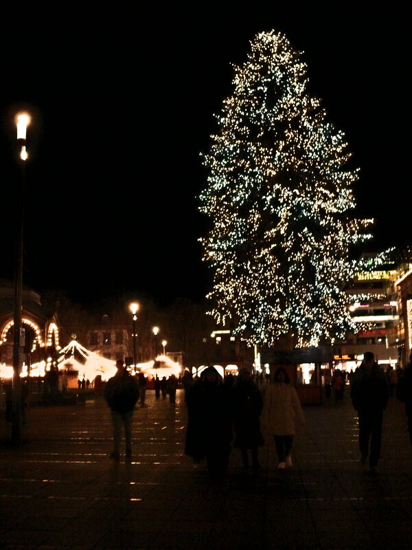 Рождество в Штутгарте - 19 - Алексей Кузнецов