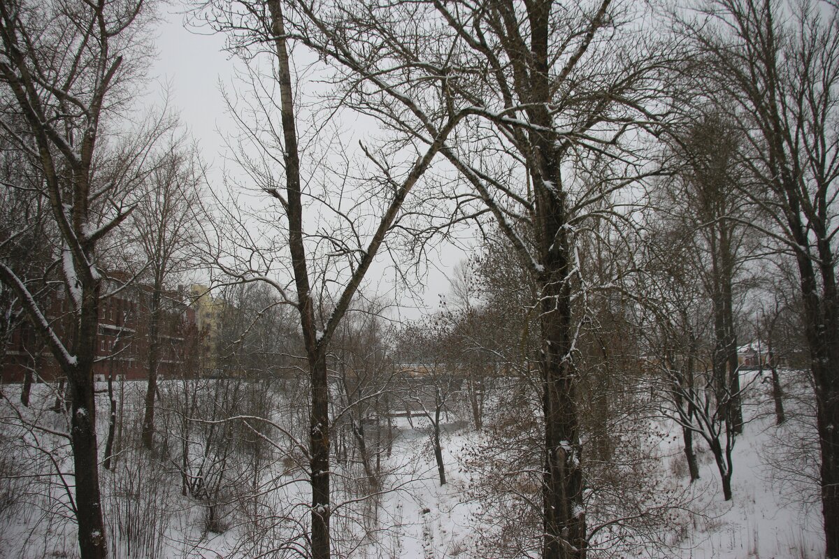 Кронштадт. Овраг Петровского дока - Наталья Герасимова