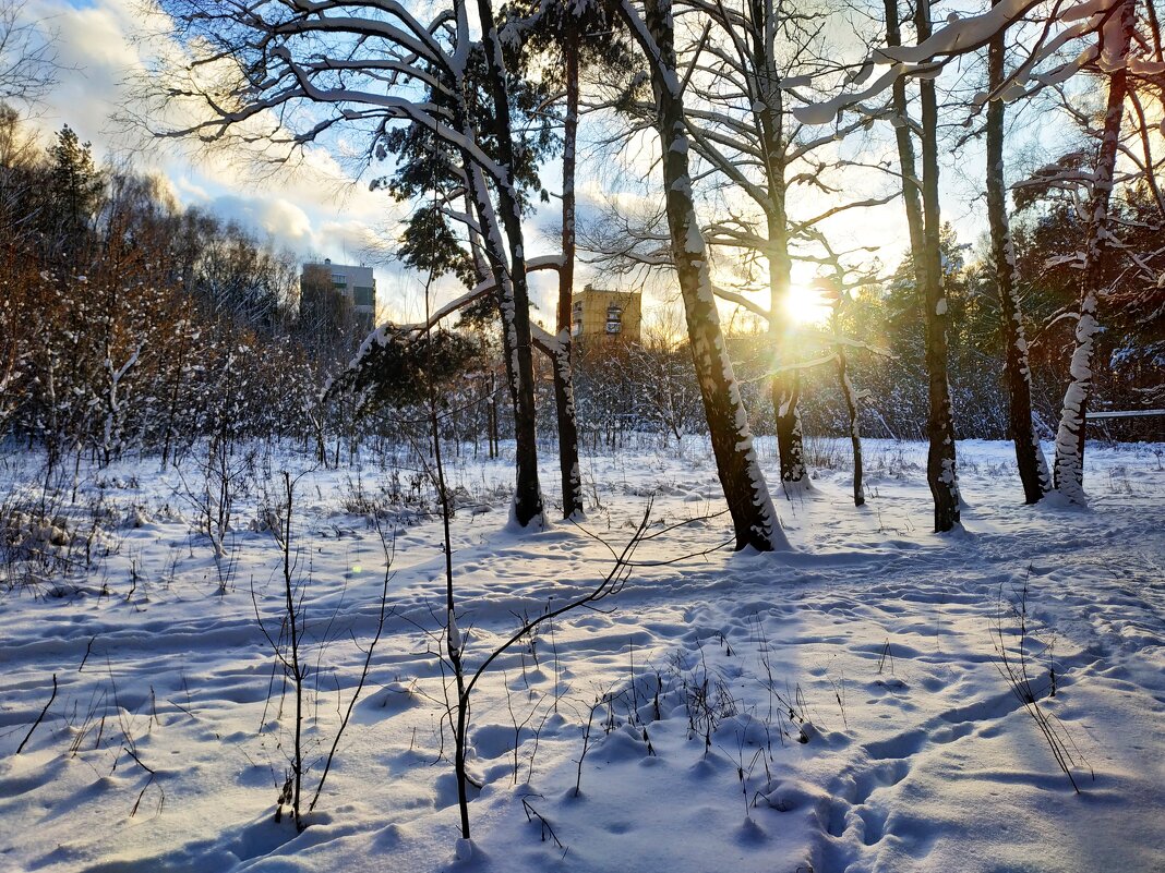 Грядут Рождественские морозы, но пока -2 - Андрей Лукьянов