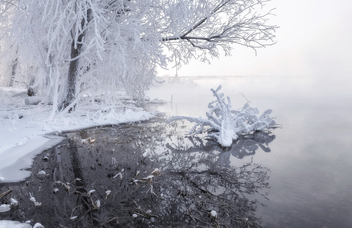 Снежный цветок - Марина Фомина.