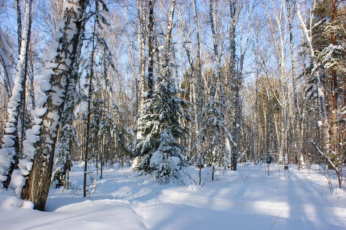 В городском парке - Галина Нестратова