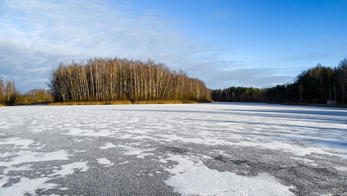 Природа в конце декабря. - Милешкин Владимир Алексеевич 