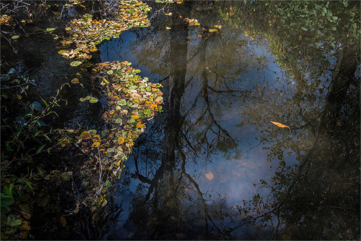 Осень - **** vedin