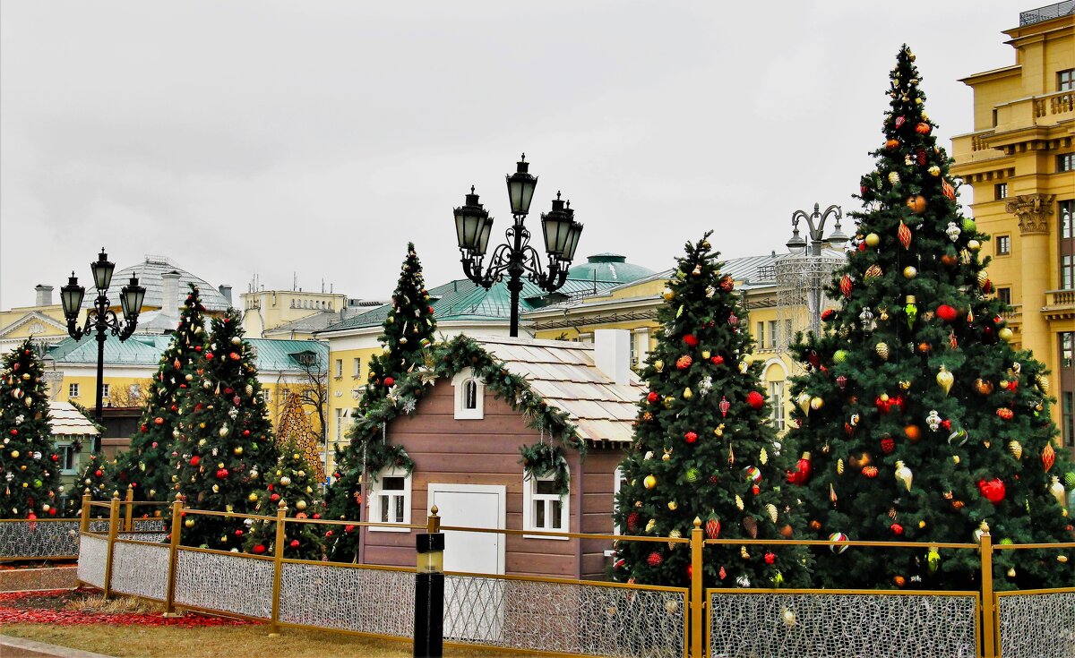 ЕЛОЧНЫЙ ХОРОВОД НА МАНЕЖНОЙ - Валентина ЕЛОЧНЫЙ ХОРОВОД НА МАНЕЖНОЙ - Валентина