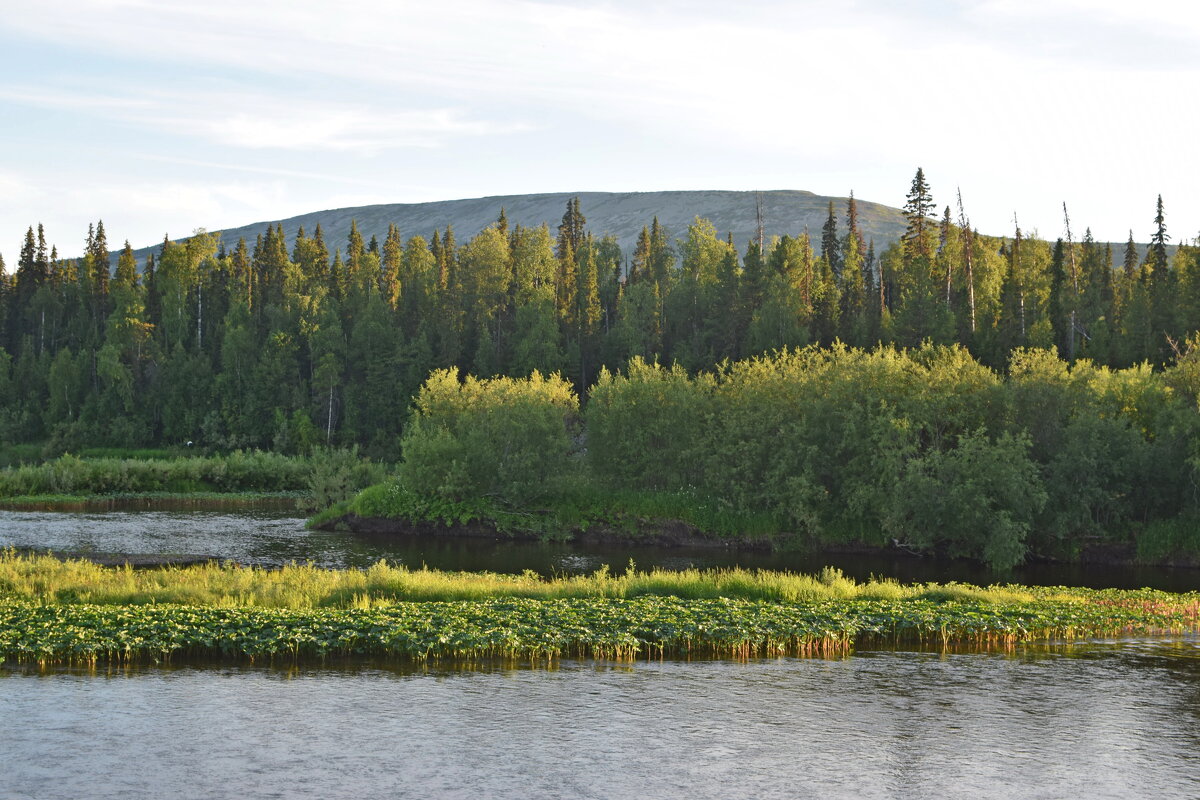 Тима Из со стоянки Петный. - ВикТор Быстров