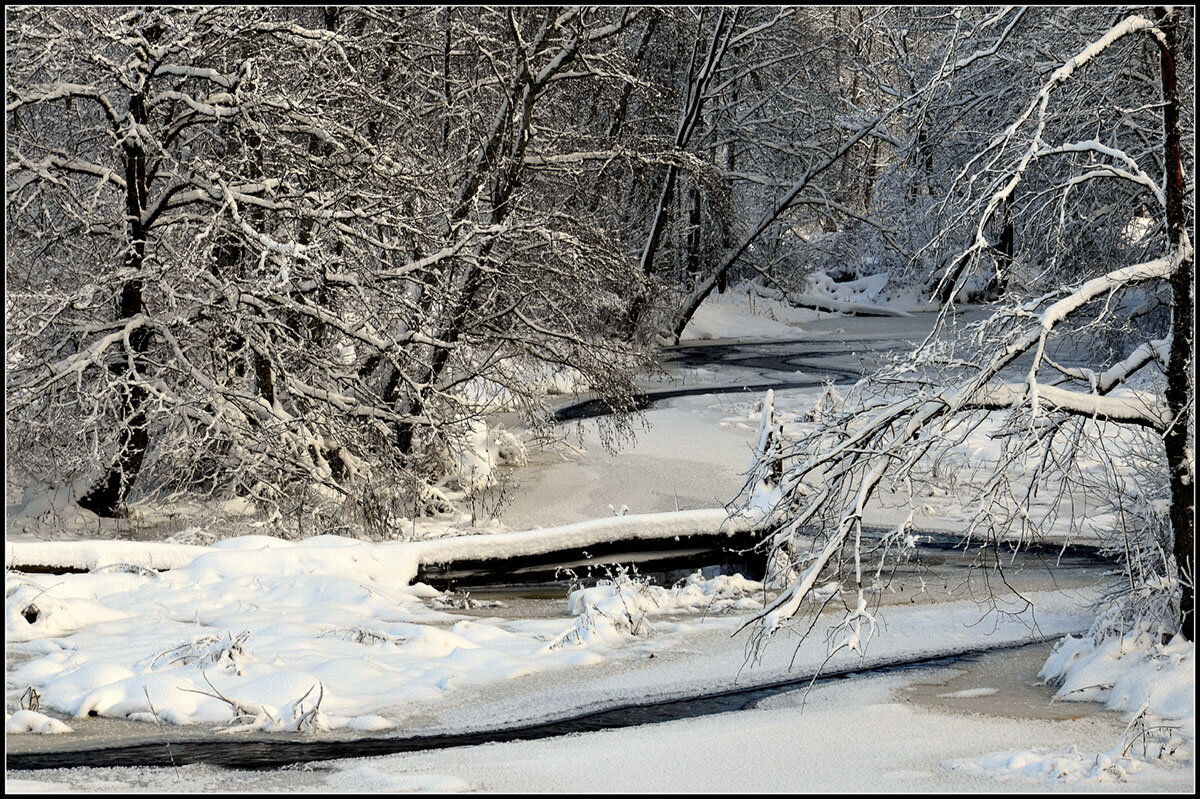 *** - Aleksandr Gal *** - Aleksandr Gal