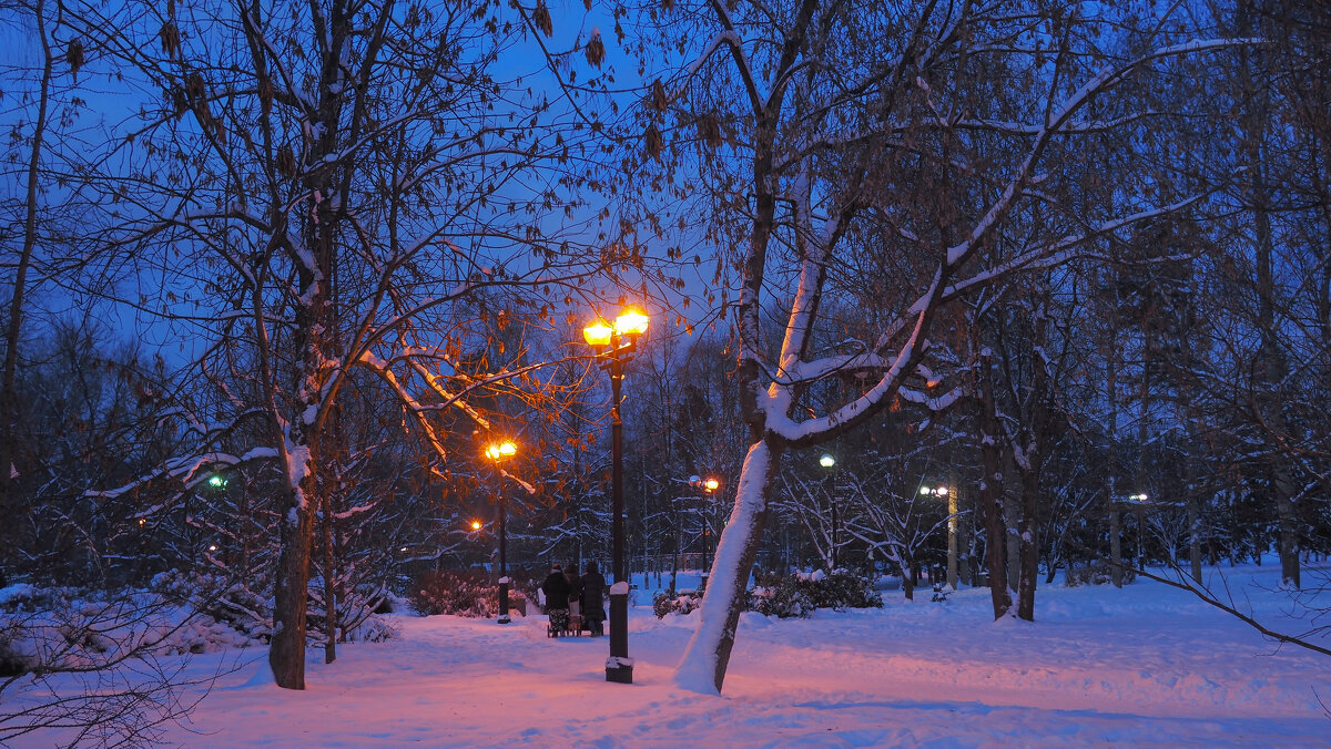 Зимний Вечер в Парке - юрий поляков