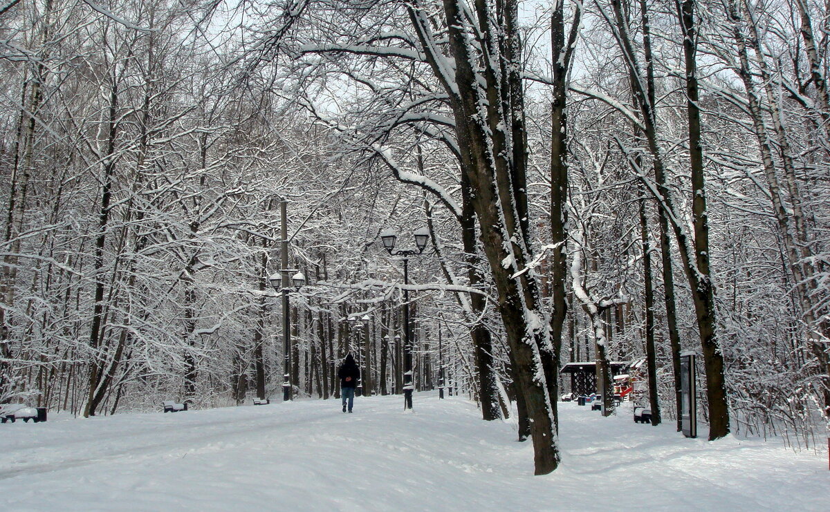 Ранним утром в парке - Галина 