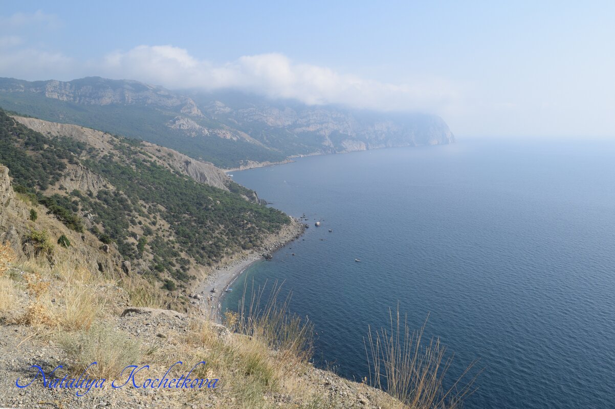 Природа Крыма - Amazing Cosmea Природа Крыма - Amazing Cosmea