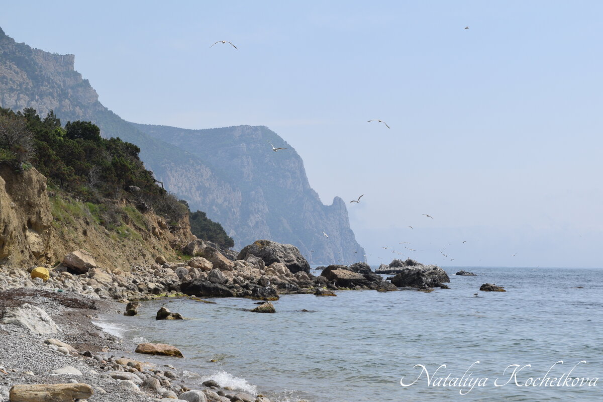 Природа Крыма - Amazing Cosmea