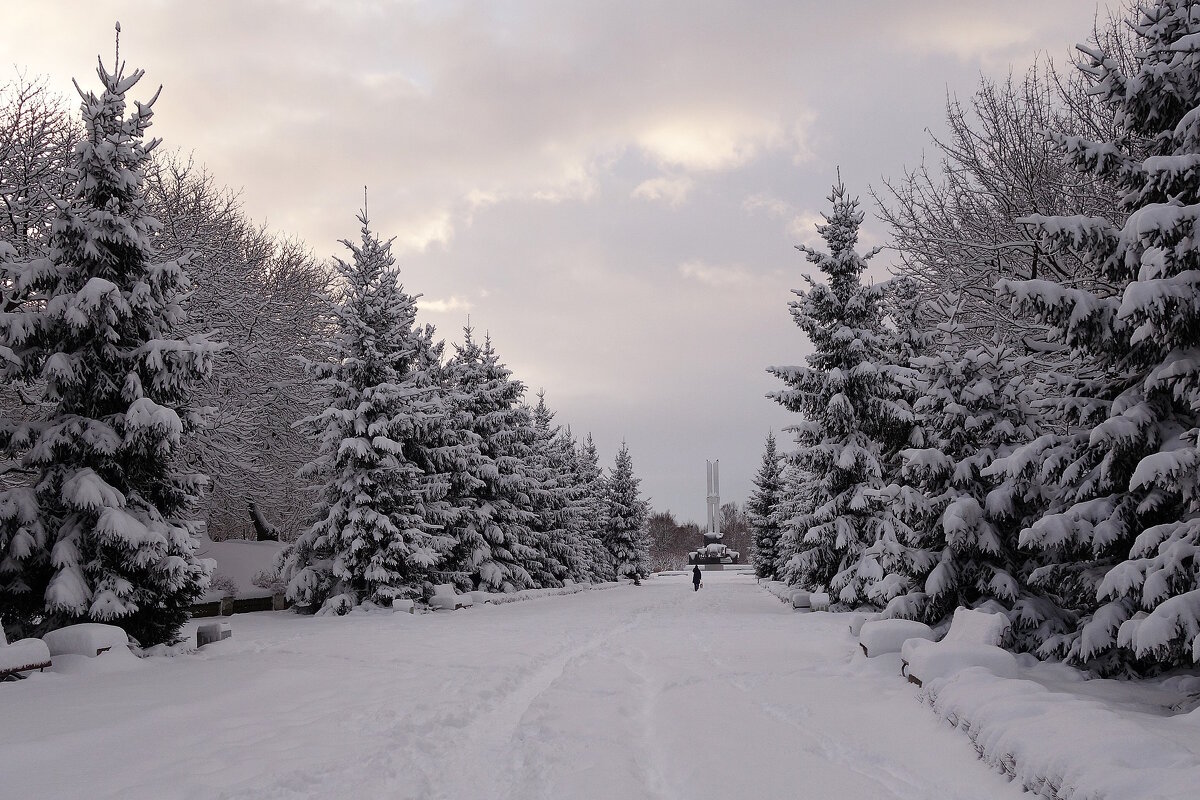 Парк Южный, Калининград - Рита Симонова Парк Южный, Калининград - Рита Симонова