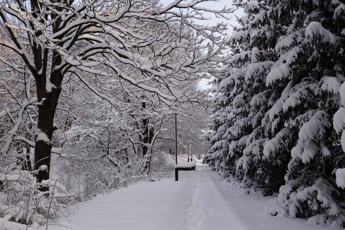 Парк Южный, Калининград - Рита Симонова Парк Южный, Калининград - Рита Симонова