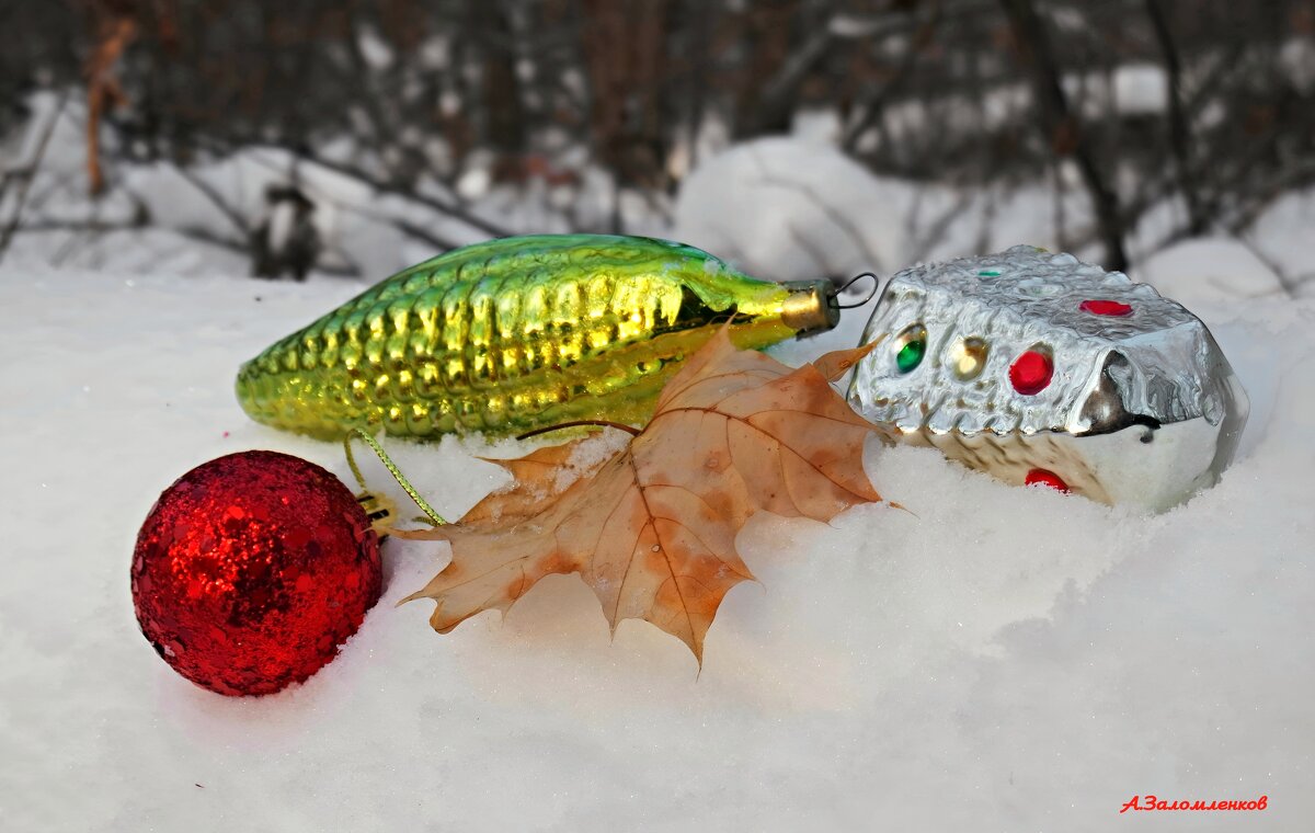 Новогодье продолжается! - Андрей Заломленков