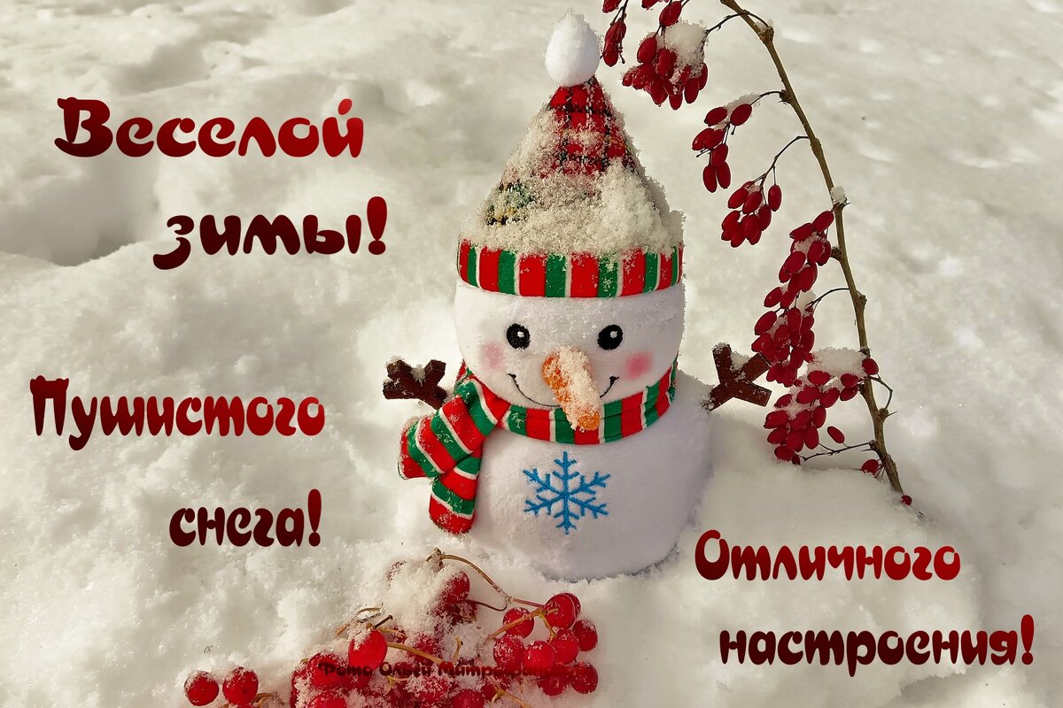 С Новым годом! - Ольга Митрофанова