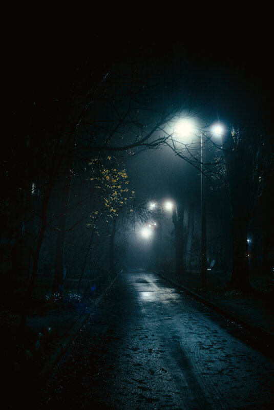 Ночь - human 1976