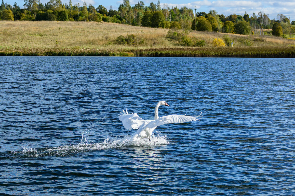 Есть касание! - Александр Тихомиров Есть касание! - Александр Тихомиров