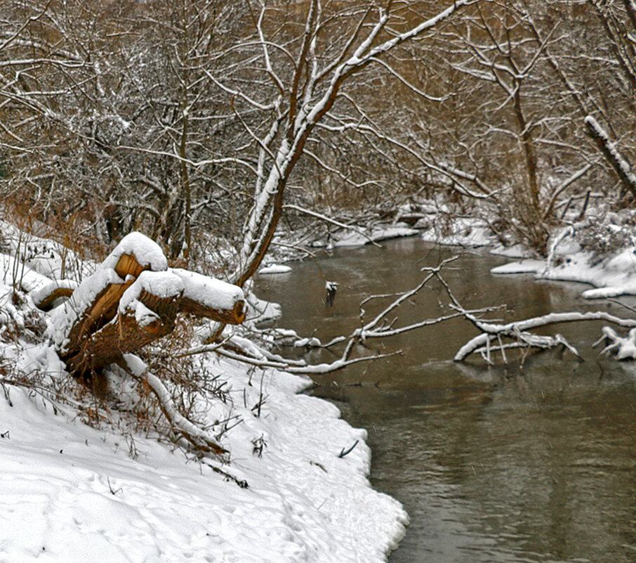 На речке Песочной, Истра - Светлана 
