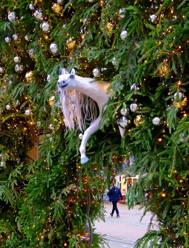 Белая лошадь - Сергей Карачин