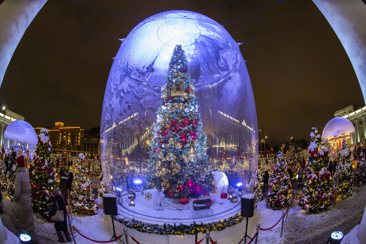 Ёлка. - Николай Галкин 