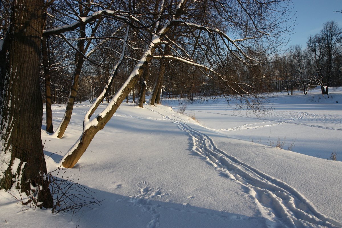 Поехали! - ZNatasha -