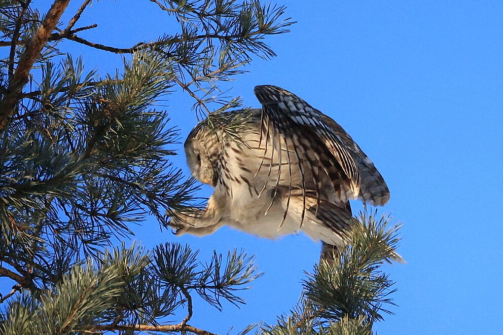 ** - Владилен Панченко