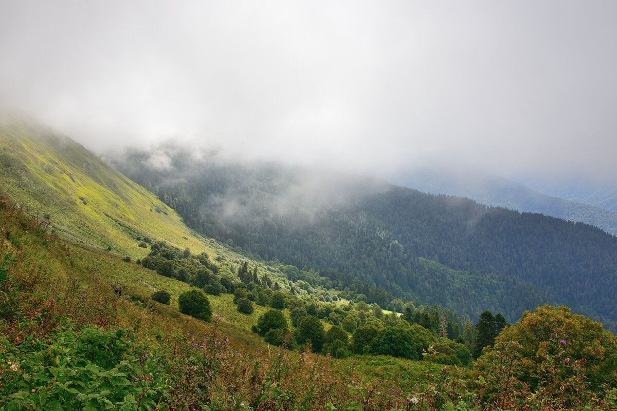 *** - Александр Хаецкий