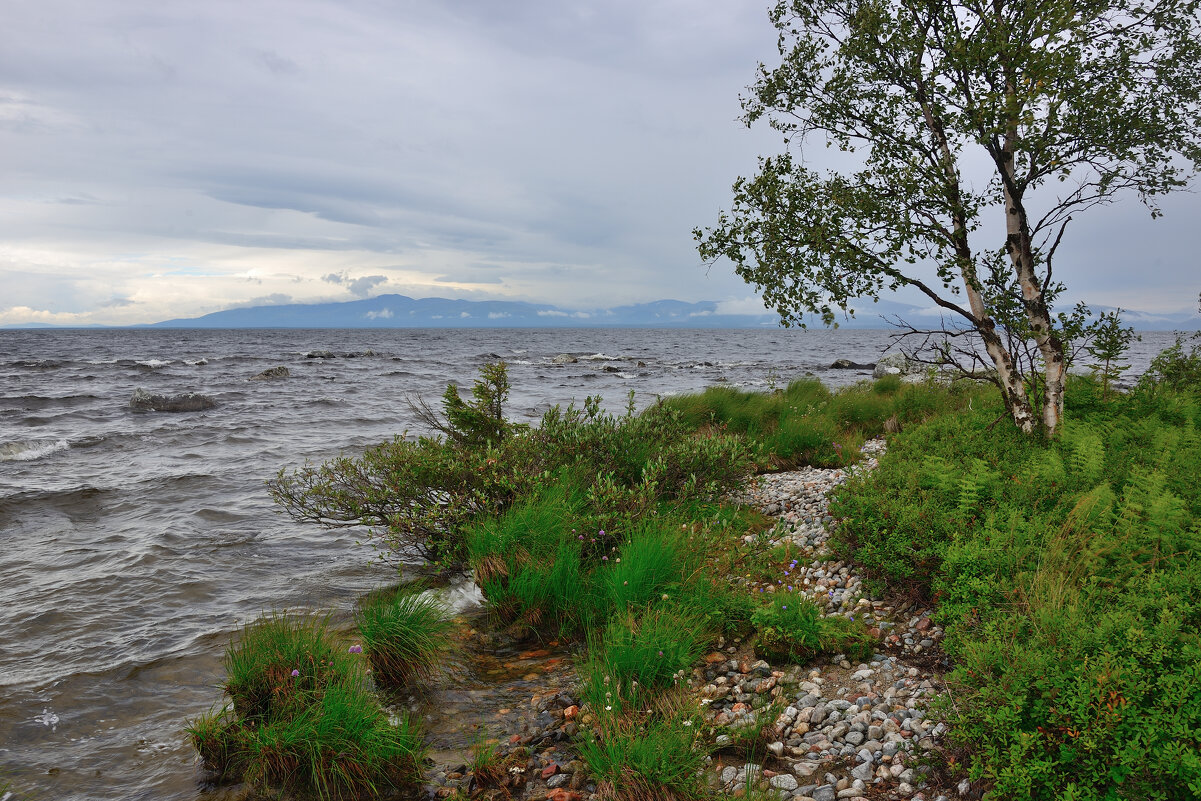 *** - Александр Хаецкий