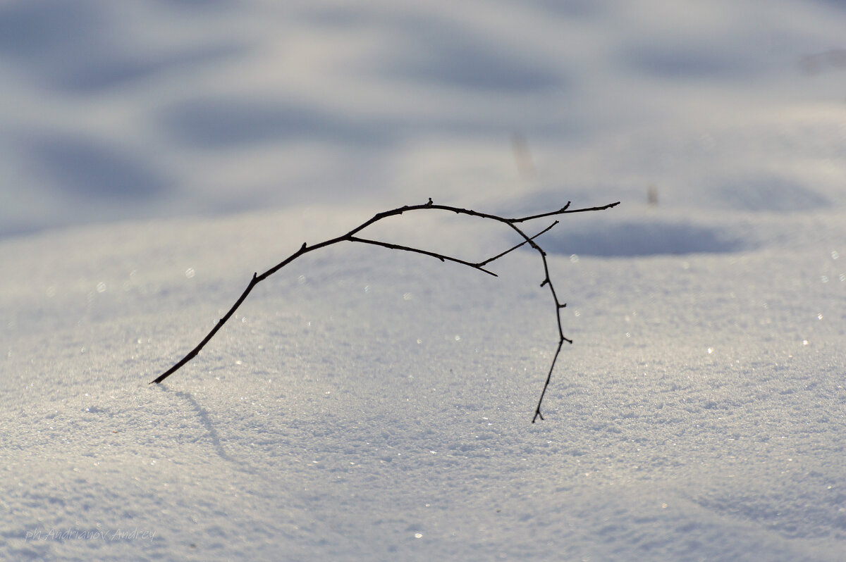 Не шедевр. Но, нравится. - Андрей Андрианов