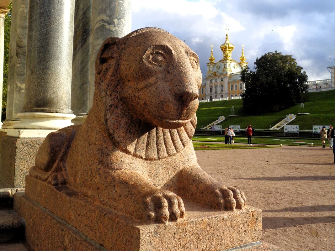 Питерские львы - Наталья 