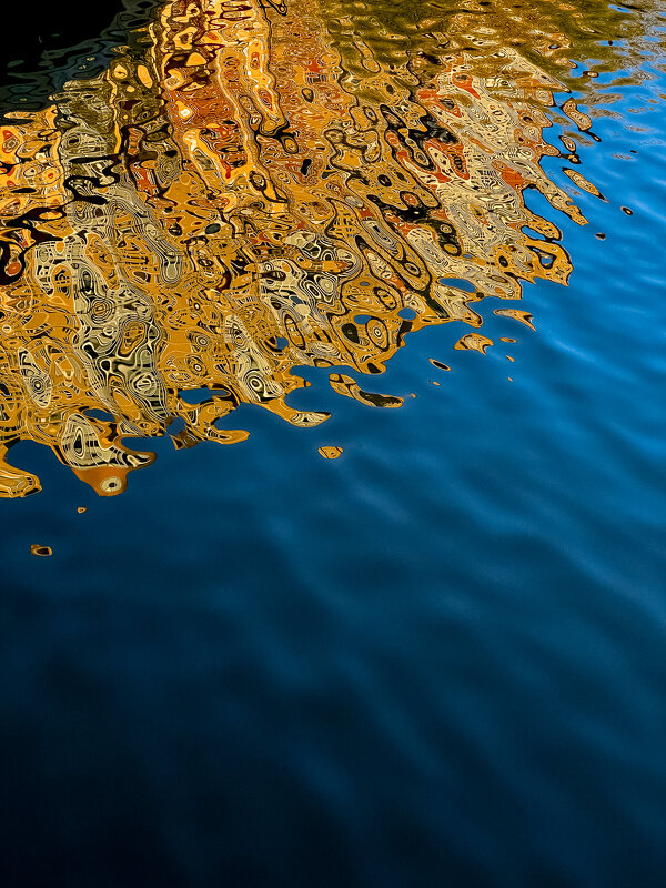 ‘2025 - Ольга Козлова