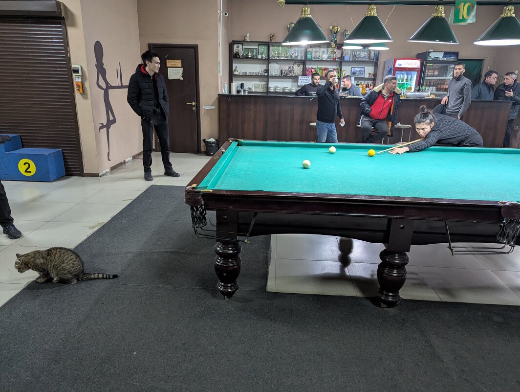 Играет Диана... - Андрей Хлопонин