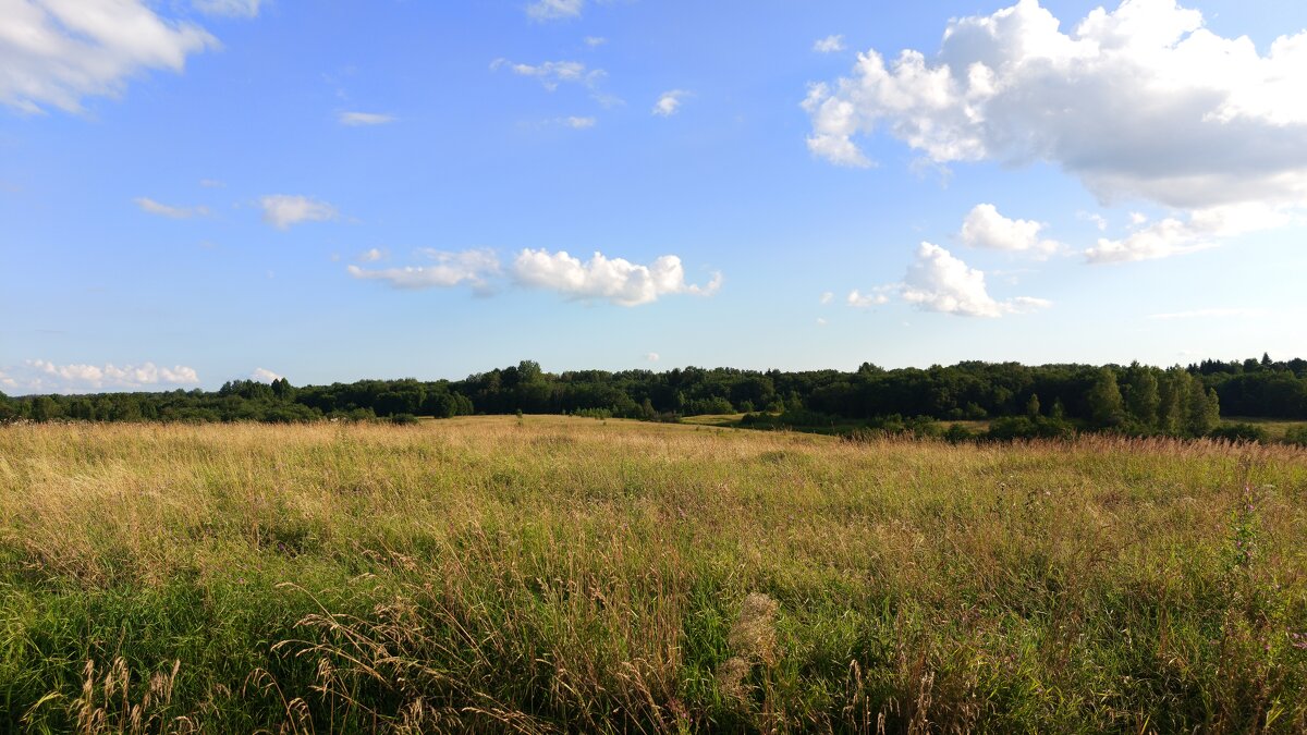 Поле - Артем 