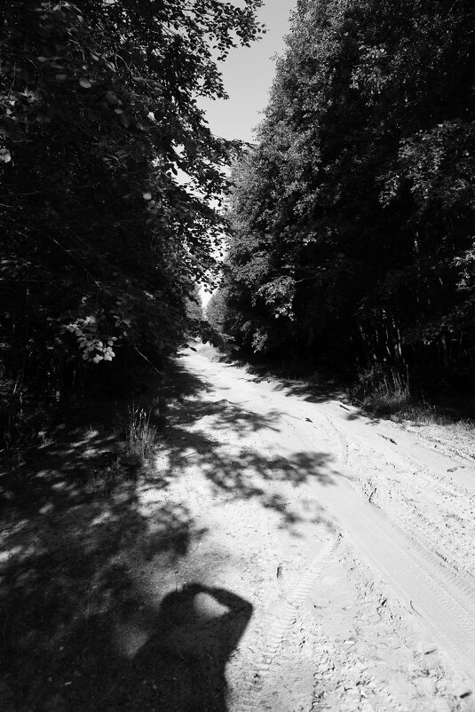 Фотография - Денис Безногов