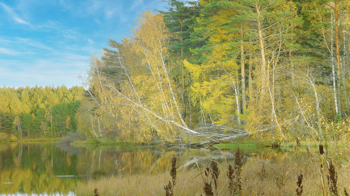 Осень - Владимир Кириченко