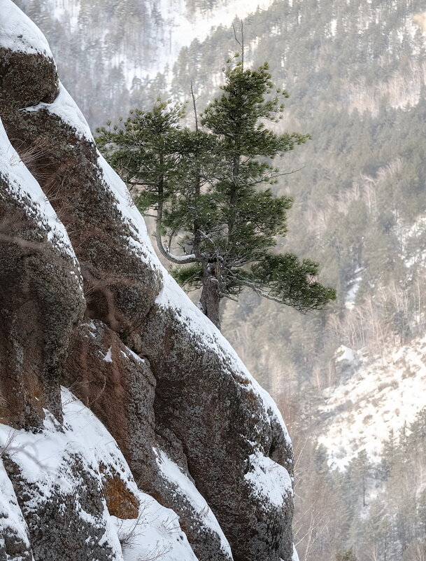 Рог носорога - Марина Фомина.