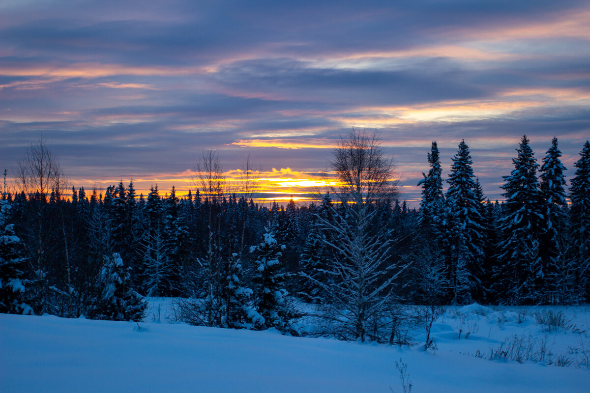 Зимний рассвет - Александр Гладких