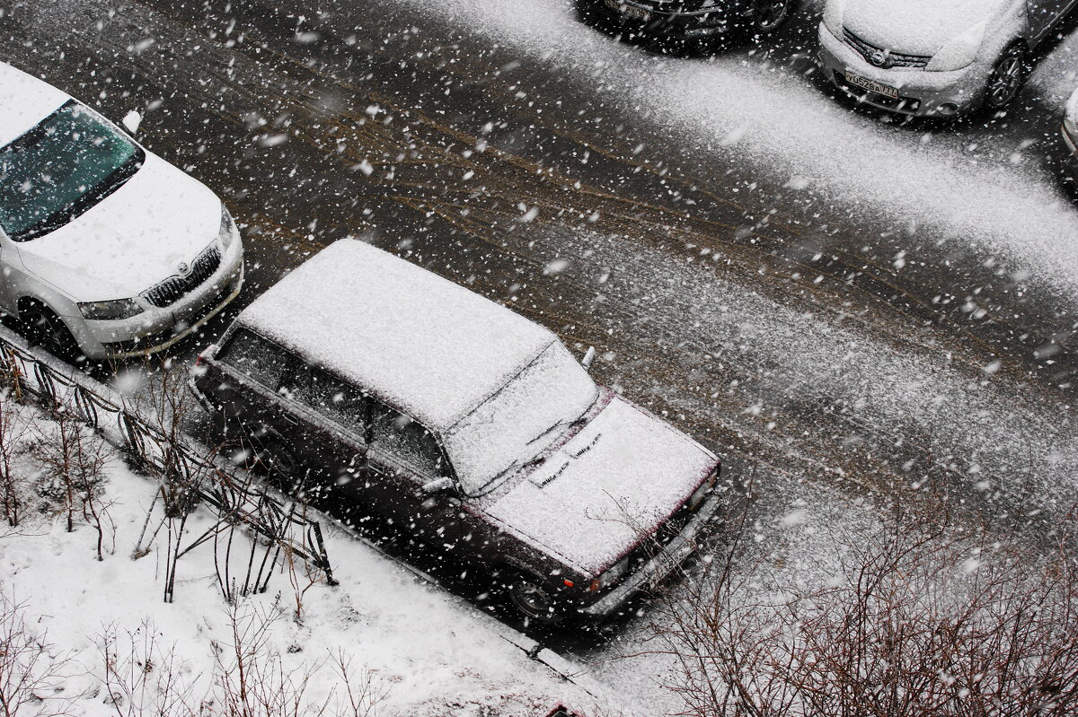 /// - Виктор Никитенко