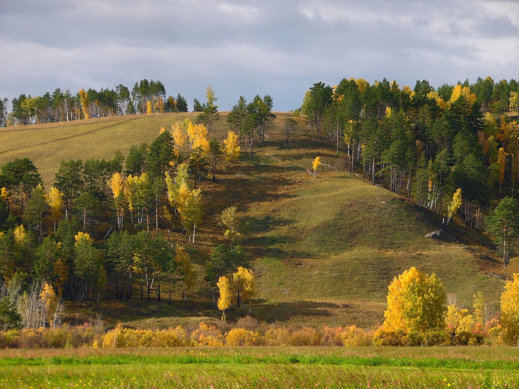 Про осень. - nadyasilyuk Вознюк