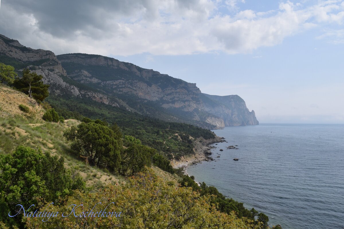 Природа Крыма - Amazing Cosmea