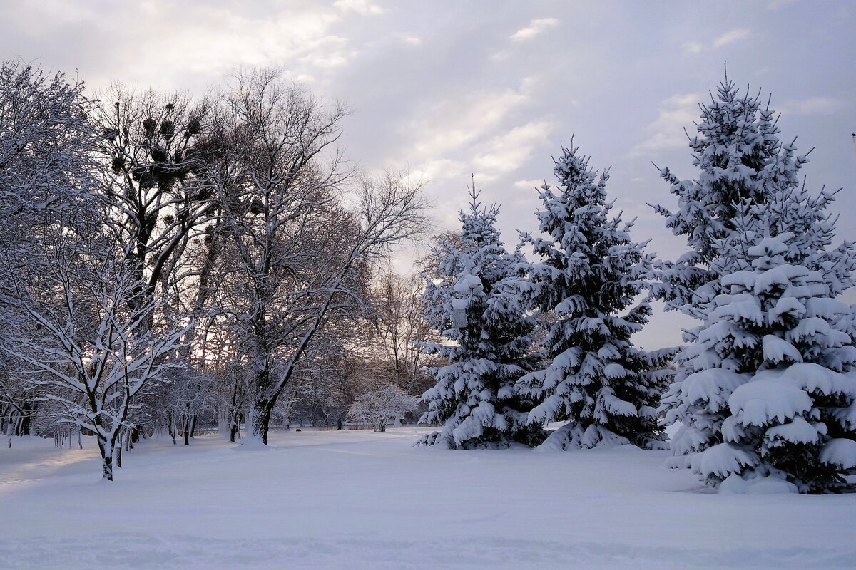 Декабрь Парк Южный, Калининград - Рита Симонова