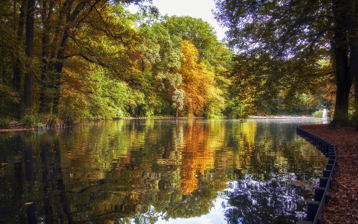 ***** - Андроник Александр 