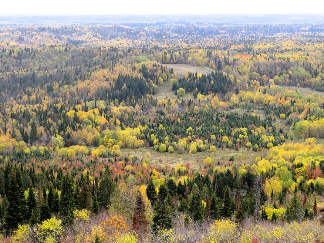 Белогорье. Осень. - Лариса С.