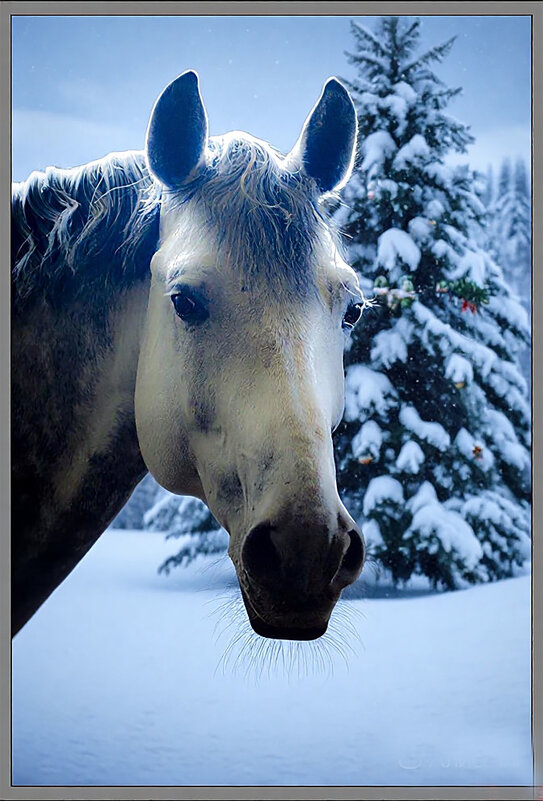 Всех с Наступающим Новым Годом - Юрий Яньков
