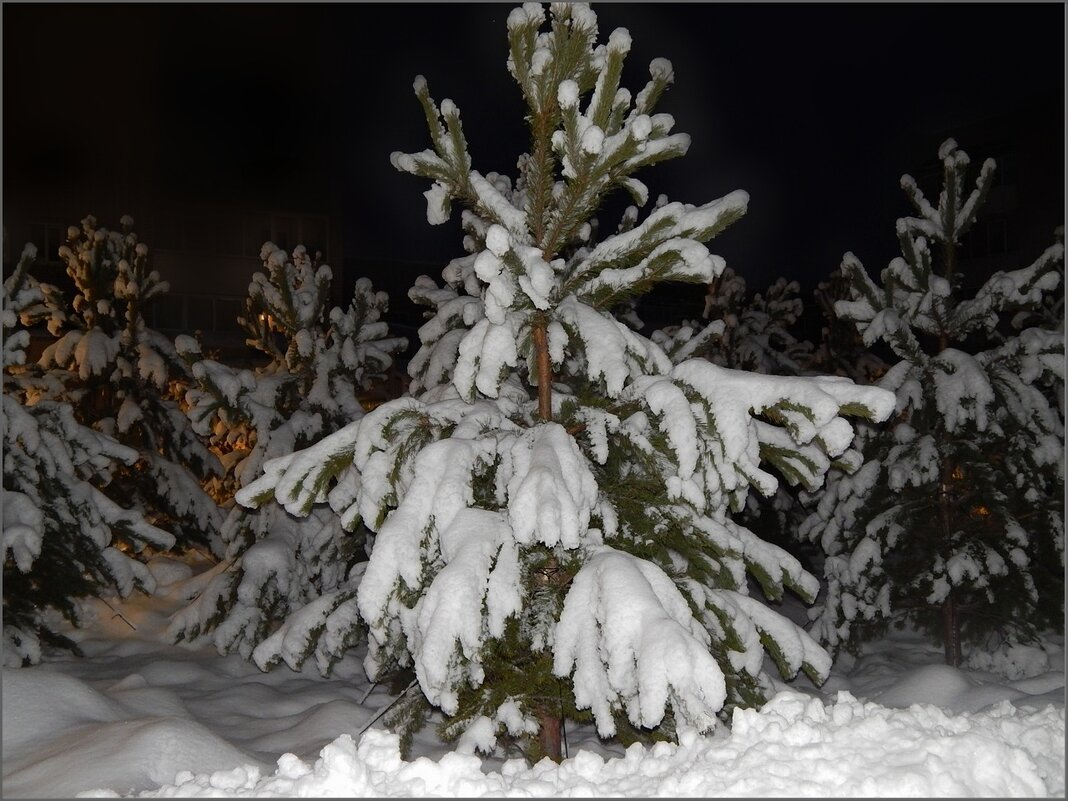 Вся в снегу ... - Валентина Надсон Вся в снегу ... - Валентина Надсон