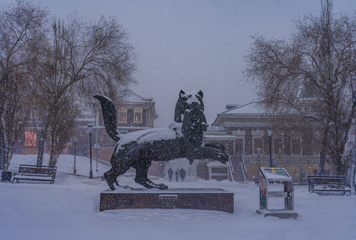 Бабр в снегу - Павел Крутенко