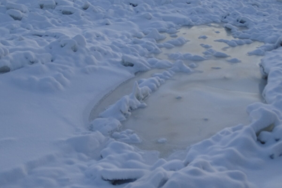 Все во льду! - Anna-Sabina Anna-Sabina Все во льду! - Anna-Sabina Anna-Sabina